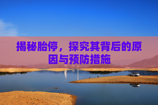 揭秘胎停，探究其背后的原因与预防措施