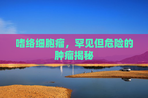 嗜络细胞瘤,罕见但危险的肿瘤揭秘 嗜络细胞瘤,罕见但危险的肿瘤揭秘