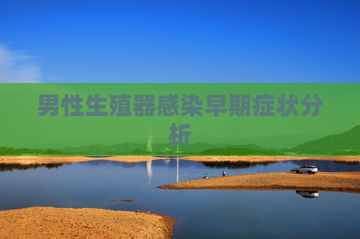 男性生殖器感染早期症状分析