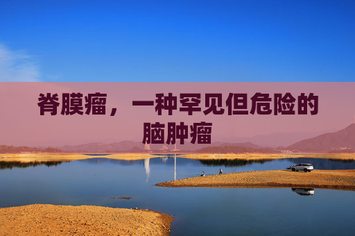 脊膜瘤,一种罕见但危险的脑肿瘤 脊膜瘤,一种罕见但危险的脑肿瘤