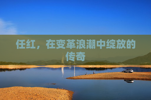 任红,在变革浪潮中绽放的传奇 任红,在变革浪潮中绽放的传奇