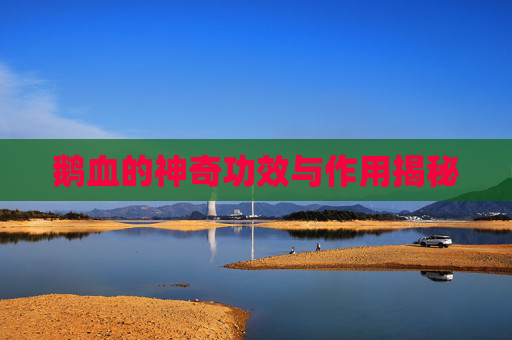 鹅血的神奇功效与作用揭秘