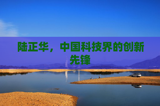 陆正华，中国科技界的创新先锋