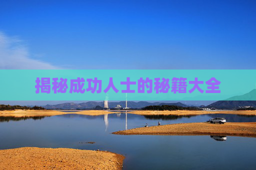 揭秘成功人士的秘籍大全