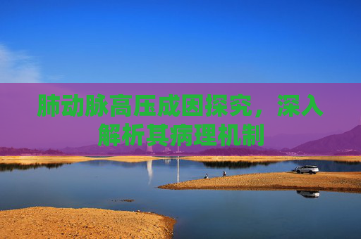 肺动脉高压成因探究,深入解析其病理机制 肺动脉高压成因探究,深入解析其病理机制
