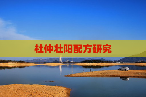 杜仲壮阳配方研究
