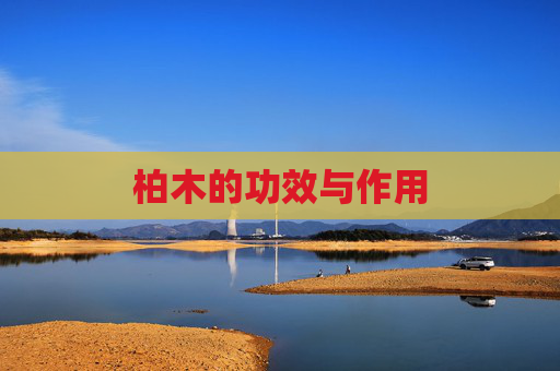 柏木的功效与作用