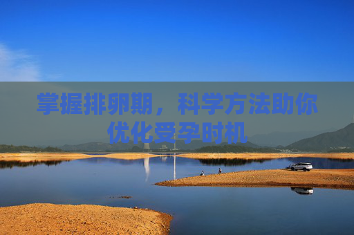 掌握排卵期，科学方法助你优化受孕时机