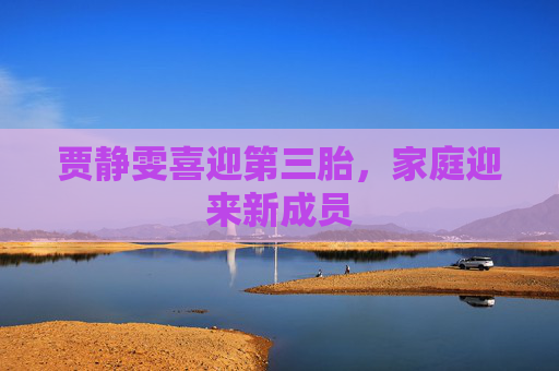 贾静雯喜迎第三胎，家庭迎来新成员