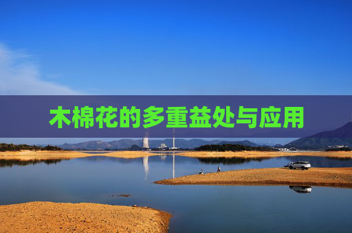 木棉花的多重益处与应用 木棉花的多重益处与应用