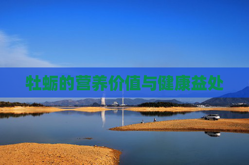 牡蛎的营养价值与健康益处 牡蛎的营养价值与健康益处