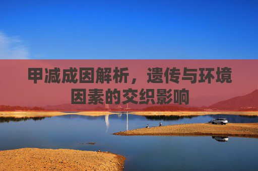 甲减成因解析,遗传与环境因素的交织影响 甲减成因解析,遗传与环境因素的交织影响