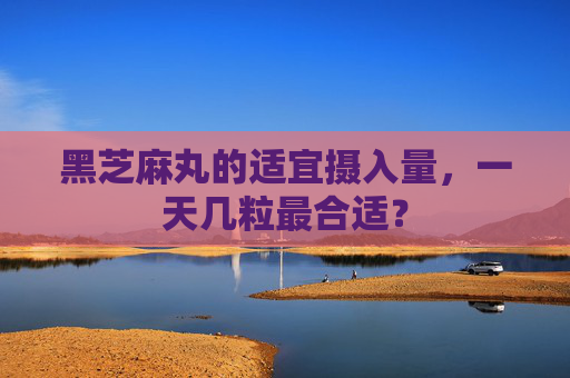 黑芝麻丸的适宜摄入量，一天几粒最合适？