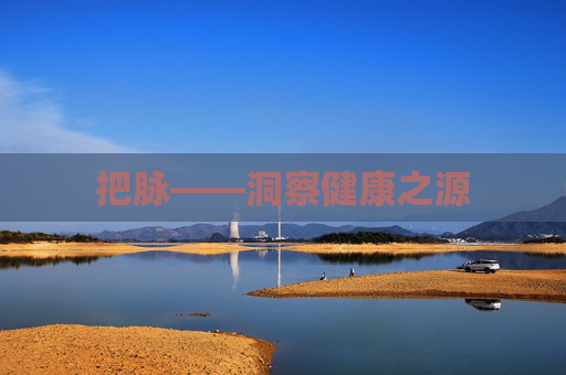 把脉——洞察健康之源