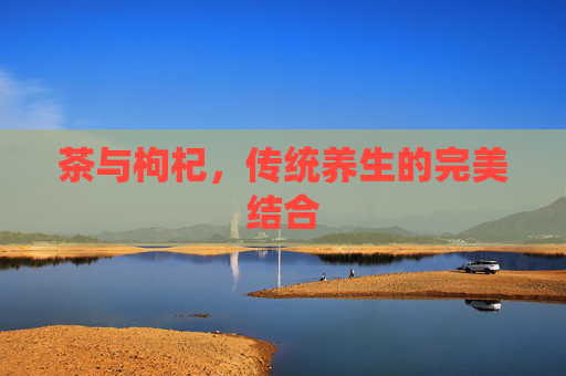 茶与枸杞,传统养生的完美结合 茶与枸杞,传统养生的完美结合