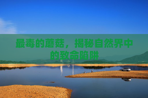最毒的蘑菇,揭秘自然界中的致命陷阱 最毒的蘑菇,揭秘自然界中的致命陷阱