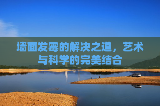 墙面发霉的解决之道,艺术与科学的完美结合 墙面发霉的解决之道,艺术与科学的完美结合