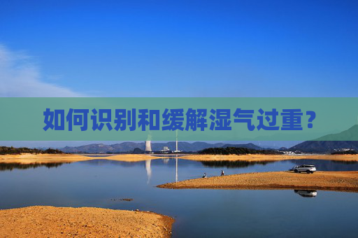如何识别和缓解湿气过重？