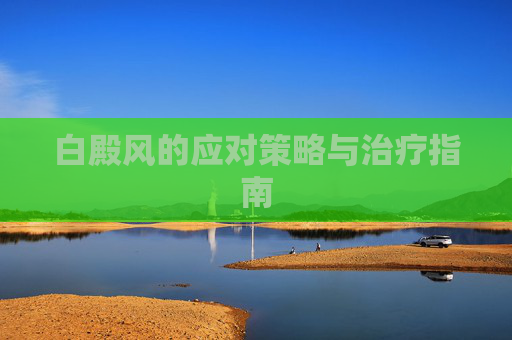 白殿风的应对策略与治疗指南