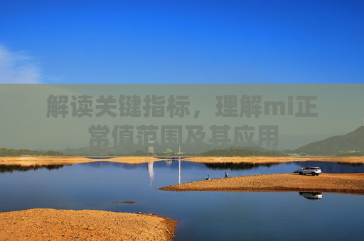 解读关键指标，理解mi正常值范围及其应用