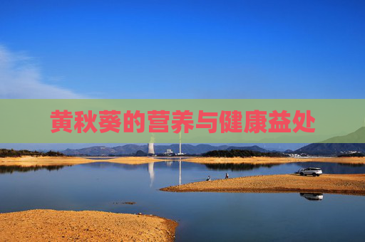 黄秋葵的营养与健康益处