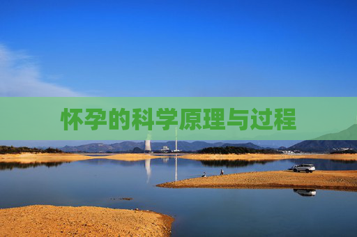 怀孕的科学原理与过程