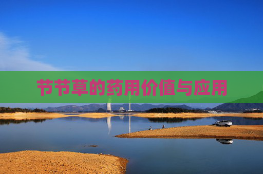 节节草的药用价值与应用