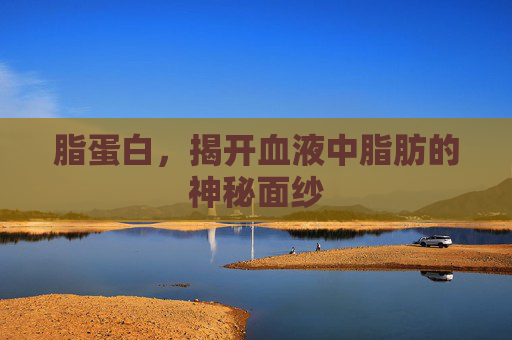 脂蛋白,揭开血液中脂肪的神秘面纱 脂蛋白,揭开血液中脂肪的神秘面纱