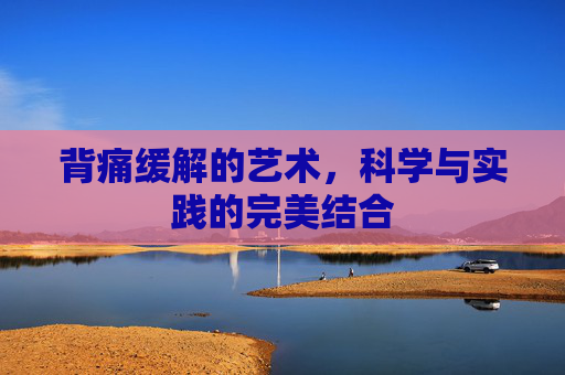 背痛缓解的艺术,科学与实践的完美结合 背痛缓解的艺术,科学与实践的完美结合