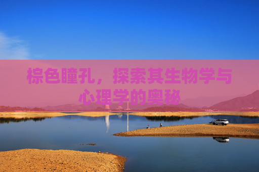 棕色瞳孔，探索其生物学与心理学的奥秘