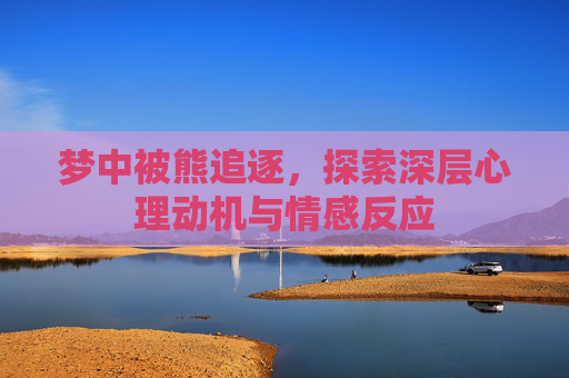 梦中被熊追逐，探索深层心理动机与情感反应