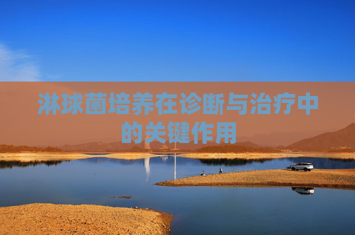 淋球菌培养在诊断与治疗中的关键作用