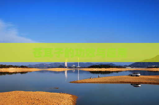 苍耳子的功效与应用