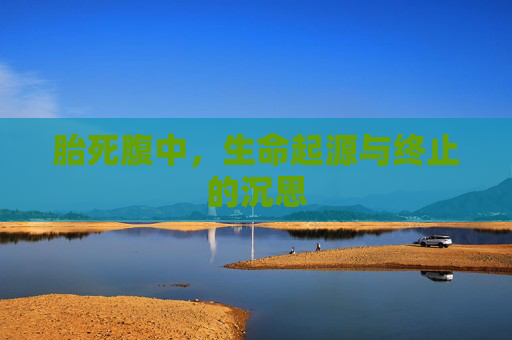 胎死腹中，生命起源与终止的沉思
