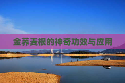 金荞麦根的神奇功效与应用 金荞麦根的神奇功效与应用