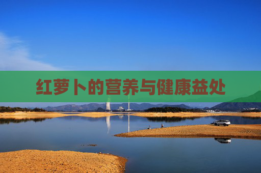 红萝卜的营养与健康益处