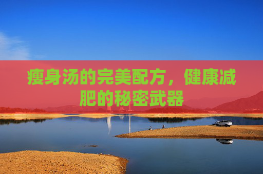 瘦身汤的完美配方,健康减肥的秘密武器 瘦身汤的完美配方,健康减肥的秘密武器