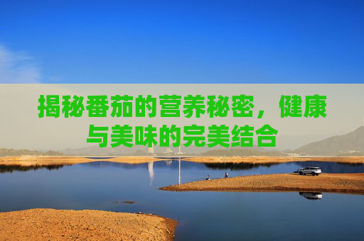 揭秘番茄的营养秘密,健康与美味的完美结合 揭秘番茄的营养秘密,健康与美味的完美结合