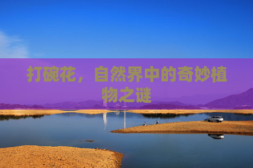 打碗花,自然界中的奇妙植物之谜 打碗花,自然界中的奇妙植物之谜