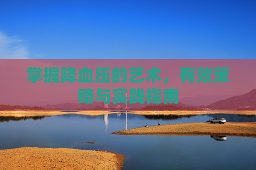 掌握降血压的艺术,有效策略与实践指南 掌握降血压的艺术,有效策略与实践指南