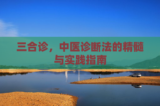 三合诊,中医诊断法的精髓与实践指南 三合诊,中医诊断法的精髓与实践指南