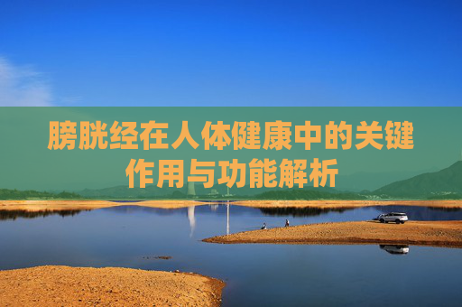 膀胱经在人体健康中的关键作用与功能解析 膀胱经在人体健康中的关键作用与功能解析