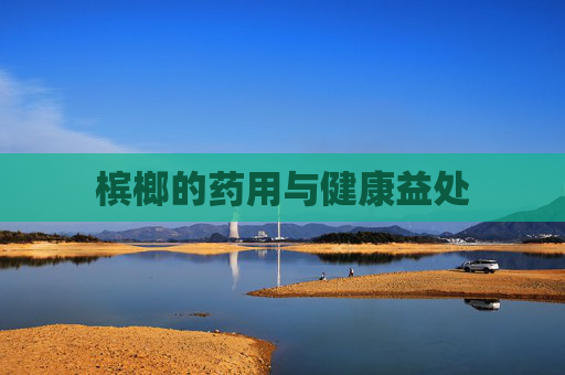 槟榔的药用与健康益处 槟榔的药用与健康益处