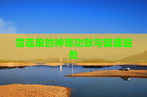 雪莲果的神奇功效与健康益处 雪莲果的神奇功效与健康益处
