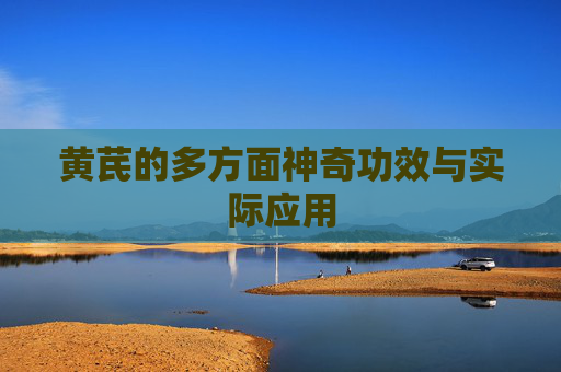 黄芪的多方面神奇功效与实际应用