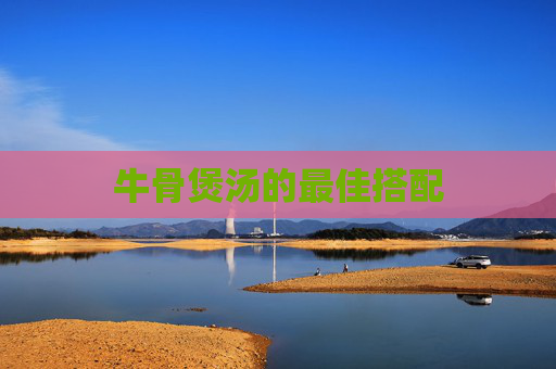 牛骨煲汤的最佳搭配