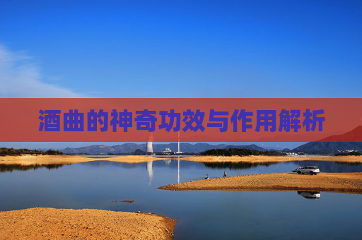 酒曲的神奇功效与作用解析 酒曲的神奇功效与作用解析