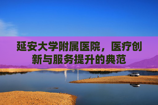 延安大学附属医院，医疗创新与服务提升的典范