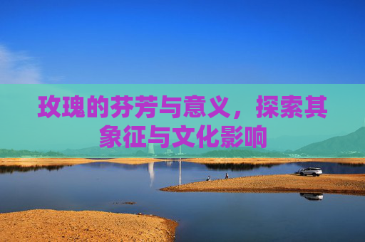 玫瑰的芬芳与意义，探索其象征与文化影响