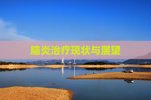 脑炎治疗现状与展望 脑炎治疗现状与展望